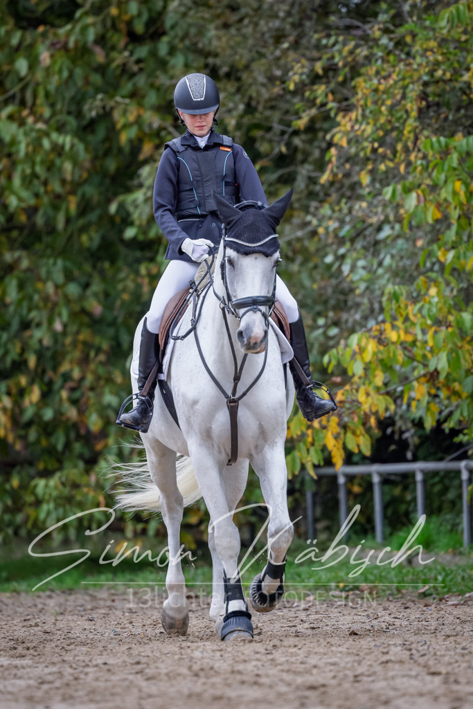 20251012-_3LI2886 | Tierfotografie Pferde, Hunde, Katzen, Haustiere.
Turnierfotografie Reitturniere, Reiten, Springreiten, Dressur in Hanau, dem Main-Kinzig-Kreis und dem Rhein-Main- Gebiet um Frankfurt