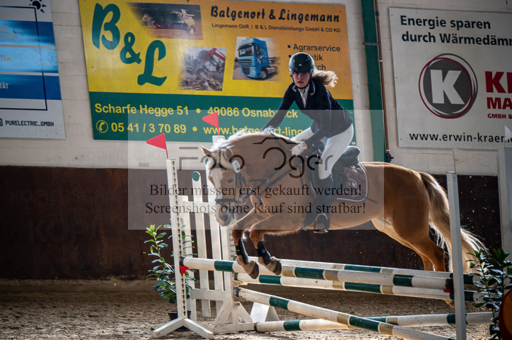 Hallenreittunier Voxtrup 2023 | Entdecke hochwertige Reitturnierfotos von Foto Oger. Professionell, emotional und authentisch – jetzt Lieblingsmomente im Shop bestellen.Deutschlandweite Turnierfotografie. - Realisiert mit Pictrs.com