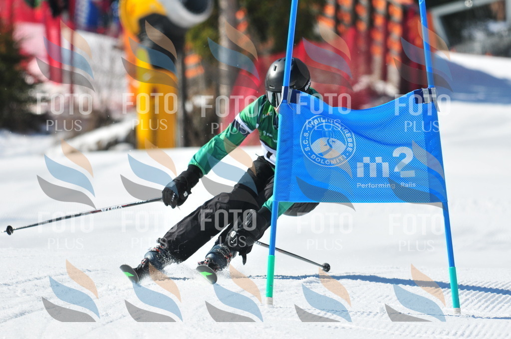 C4306 | holidayphoto