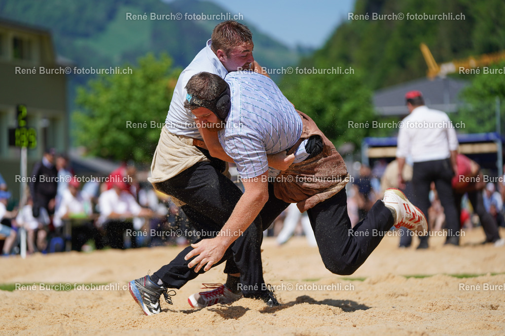 20220515-DSC07001-2 | René Burch leidenschaftlicher Fotograf aus Kerns in Obwalden.  Hier finden sie Sport, Landschaft und Natur Fotografie.
 - Realisiert mit Pictrs.com