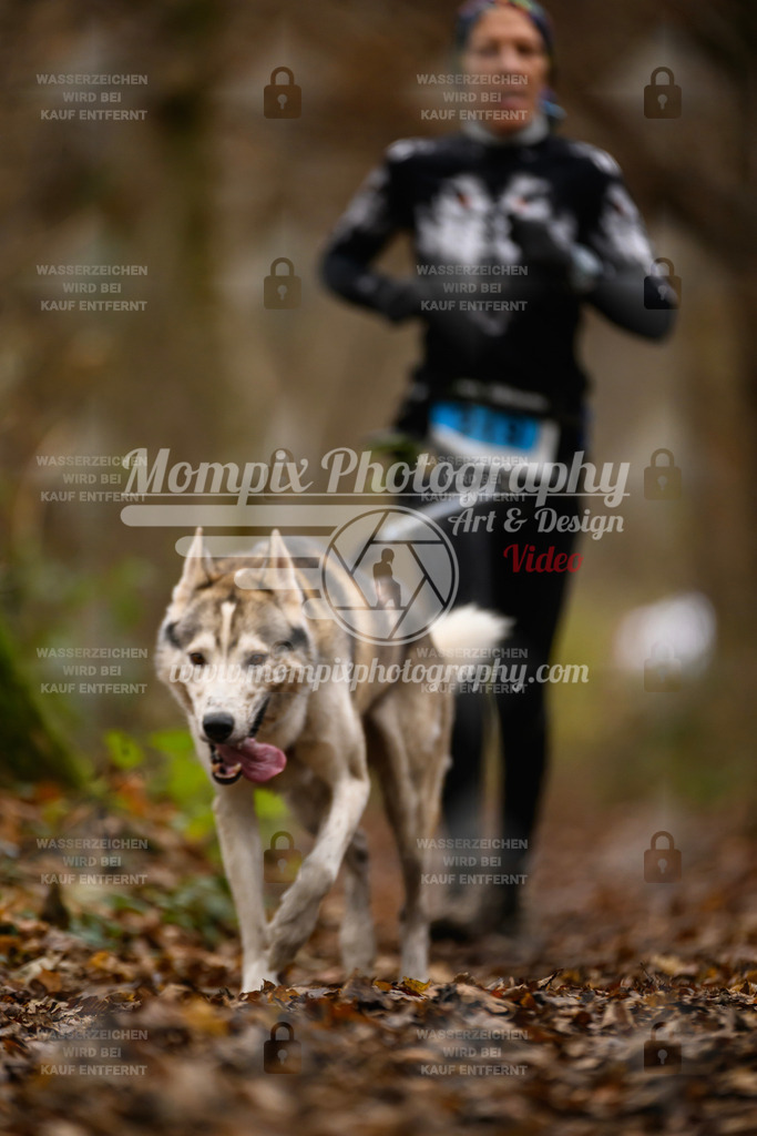 MompixPhotography_Eschau2024_CCC-61 | PayLife