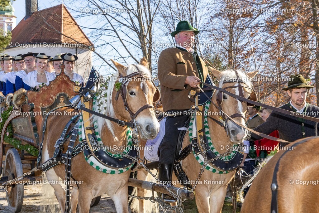 LBT25-1318 | foto-bettina-krinner - Realisiert mit Pictrs.com