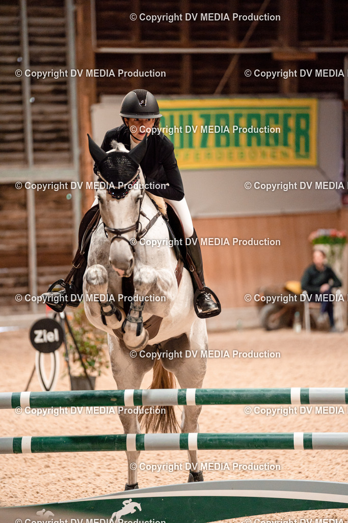 Springen Tag 1-392 | dv-media-shop - Realisiert mit Pictrs.com