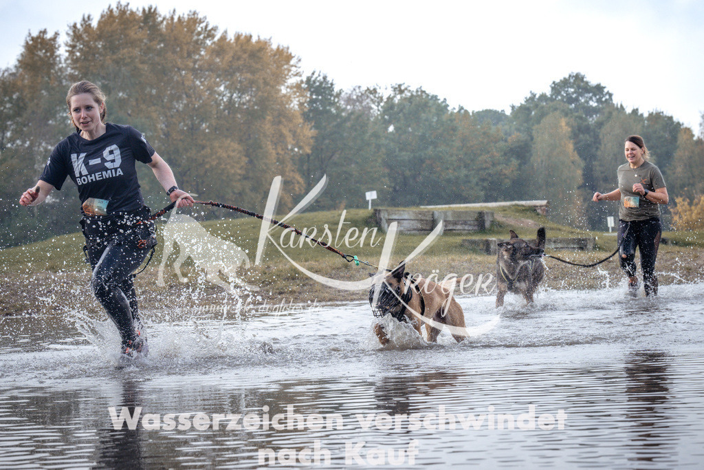 1130_ZZ95120 | kk-dogfotos