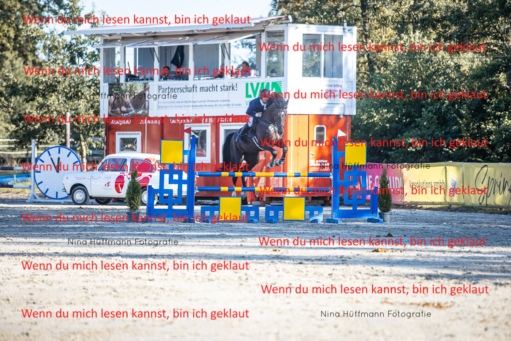 BK1A6189 | Turnierbilder Turnierfotos Nina Hüffmann Turnierfotografie Pferdefotografie Tierzeichnung Haustierzeichnung Pferdezeichnung Hundezeichnung Videograf  - Realisiert mit Pictrs.com