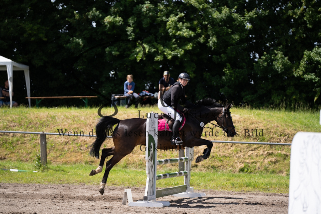 A7V04234 | Pferdefotograf