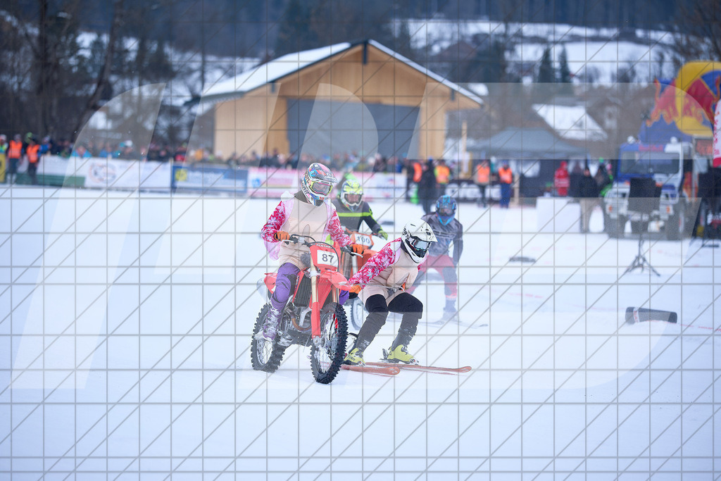 11. Holzknecht Skijöring | Skijöring am 24.01.2026: 11. Holzknecht Skijöring in Gosau am Dachstein, Oberösterreich, ÖsterreichFoto: © 2026 Martin Bihounek | mb-creative.eu