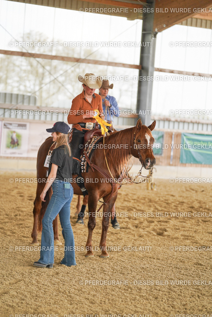 DSC03298 | Pferdegrafie