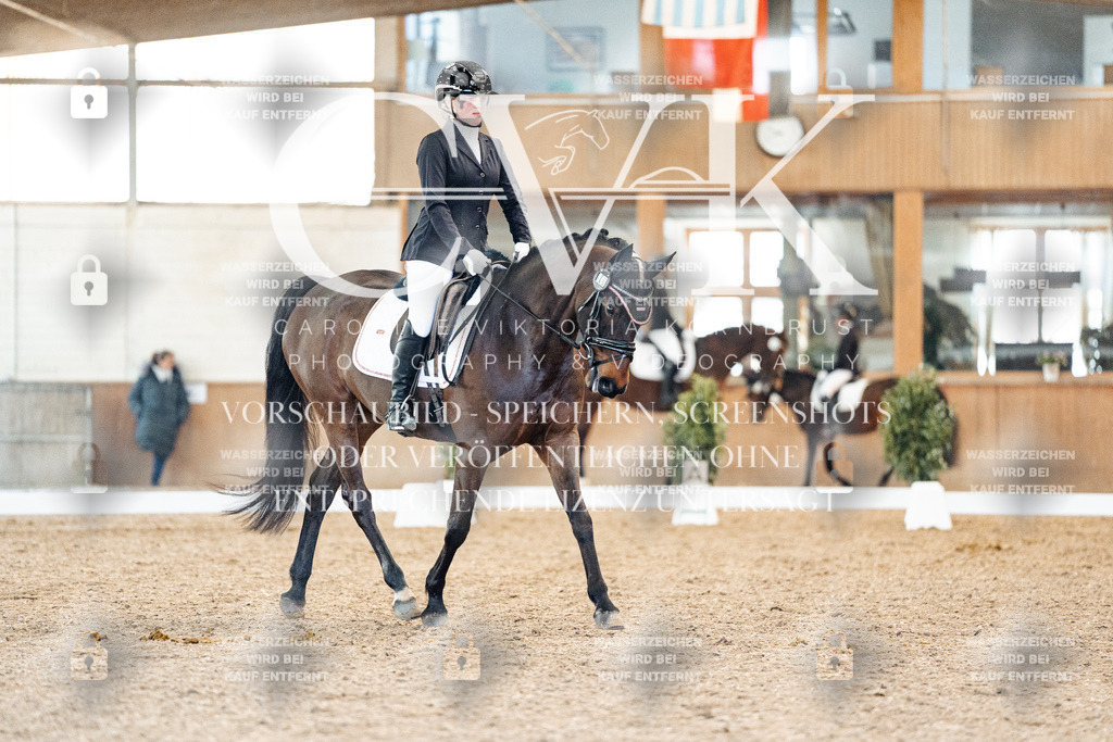 CK907942 | Turnierfotografie Pferdefotografie Trier Rheinland-Pfalz Pferdesport Reitsport Tierfotografie Sportfotografie Pferdevideo Pferdevideografie Equestrianvideography equestrianphotography  - Realisiert mit Pictrs.com