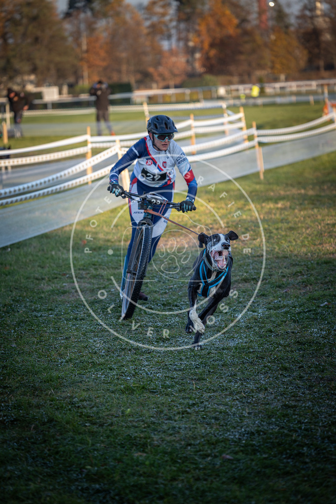 CaniXpix_0L8A2061 | Hundefotografie, Tierfotograf, Pfotenfotografie, Fotoshooting Hund, Hunde Portrait, Hundesport, Hundeportraits, Heideshooting, Hunde, Sportfotograf, Hundefotograf, Turnierhundsport, THS,  - Realisiert mit Pictrs.com