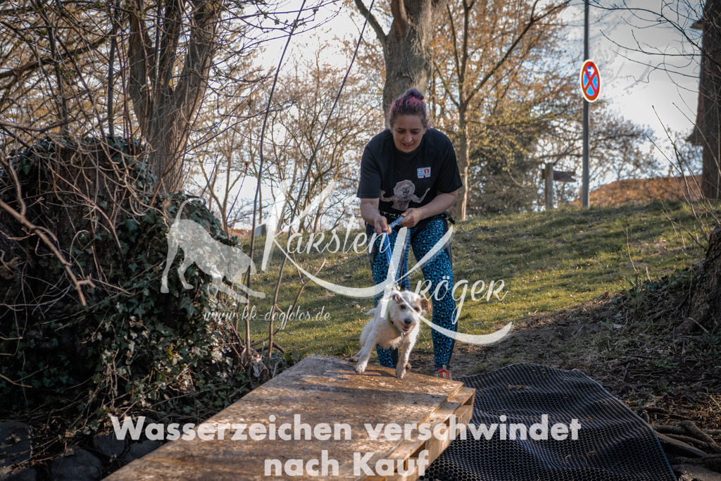 0839_ZZ92792 | kk-dogfotos
