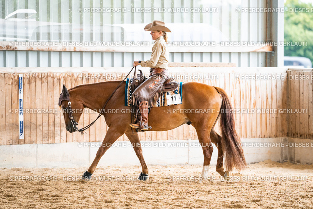 DSC00918 | Pferdegrafie