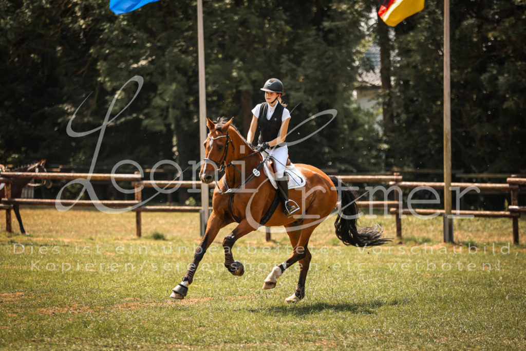 15.SaStE00013 | Leoni Ertmer Photography - Realisiert mit Pictrs.com