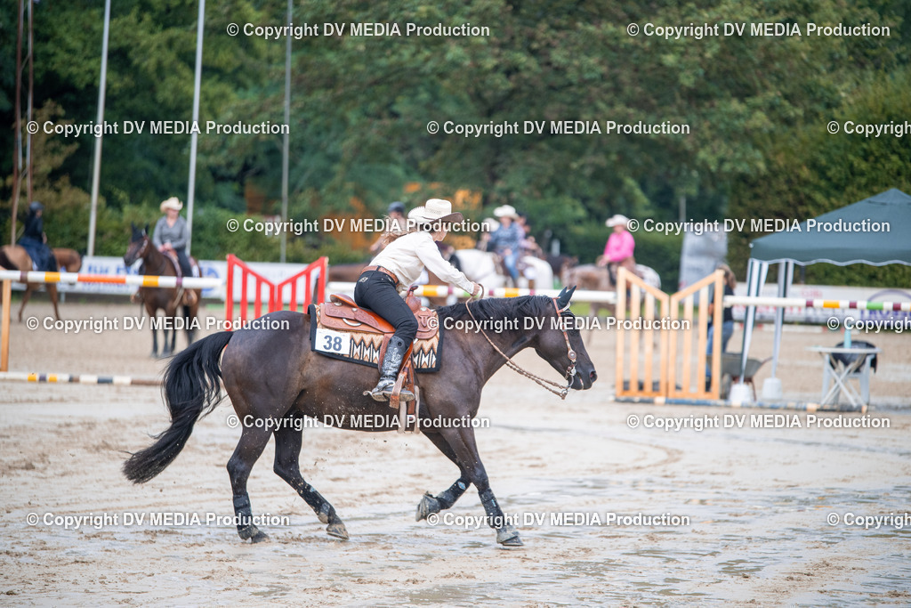 ZS2_4237 | dv-media-shop - Realisiert mit Pictrs.com