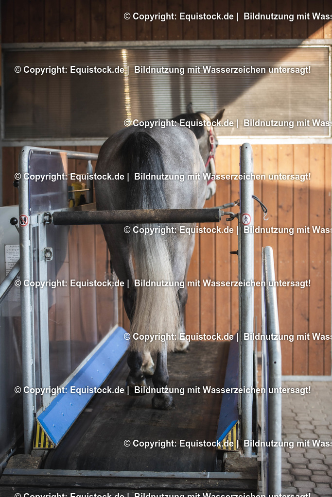 20200118_Laufband_0030 | Foto: Thomas Hartig