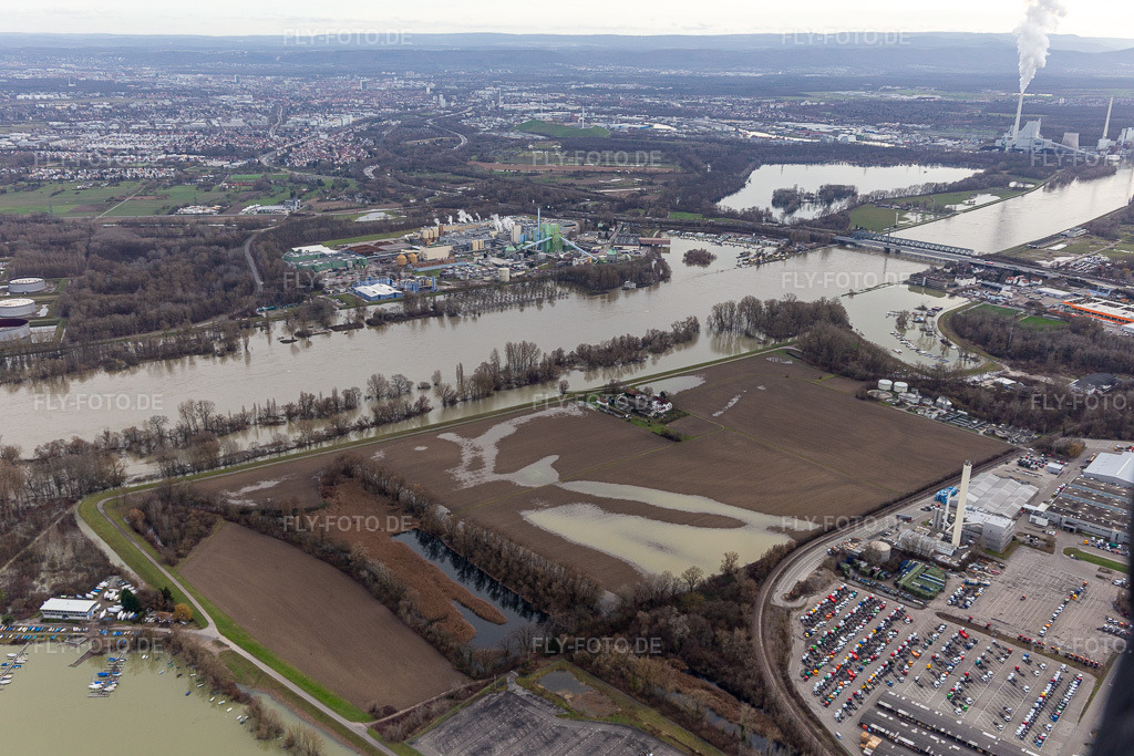 Luftbild: Hofgut Ludwigsau bei Rheinhochwasser im Ortsteil Maximiliansau in Wörth im Bundesland Rheinland-Pfalz in Deutschland. Foto: IMG_124245.jpg vom 04.02.2021 durch Werner Riehm/FLY-FOTO.de