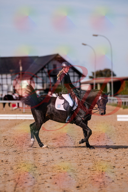 2026_10_03_Siefer-Hof_115747_Z81_98561998 | Professionelle Reitsport-, Turnier- und Eventfotografie von Robert Broda. Galerien mit ausgewählten und bearbeiteten Bildern direkt online ansehen und bestellen.