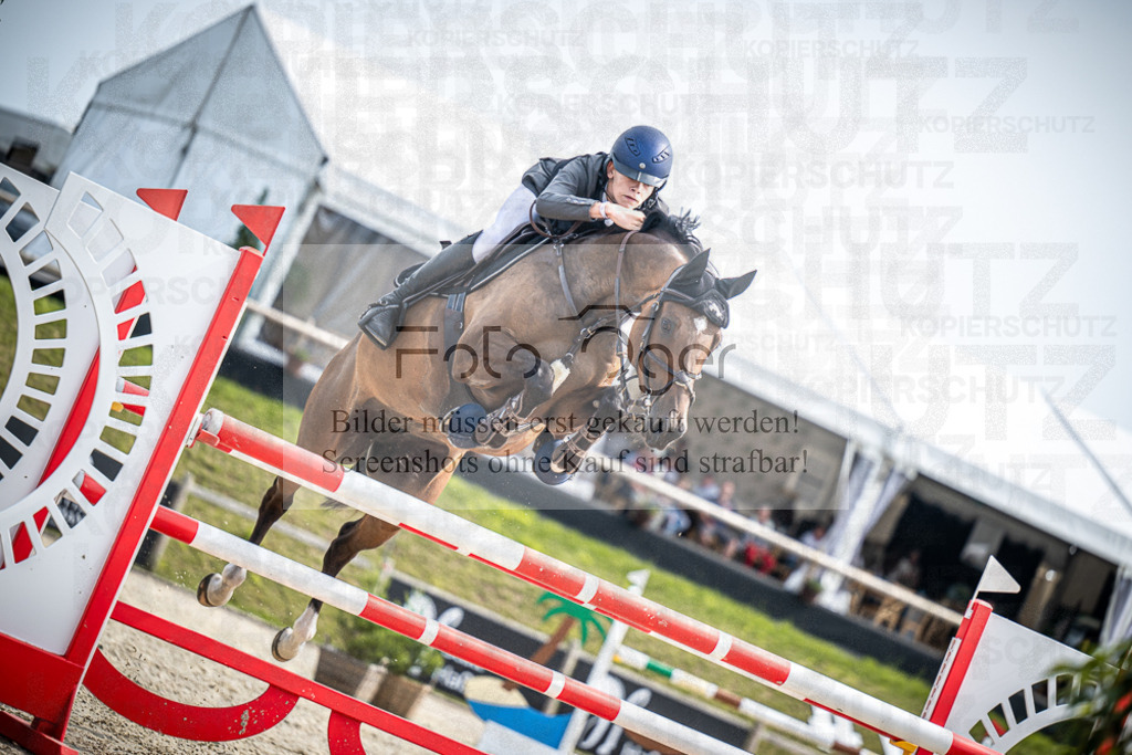 DOS_8834 | Entdecke hochwertige Reitturnierfotos von Foto Oger. Professionell, emotional und authentisch – jetzt Lieblingsmomente im Shop bestellen.Deutschlandweite Turnierfotografie. - Realisiert mit Pictrs.com