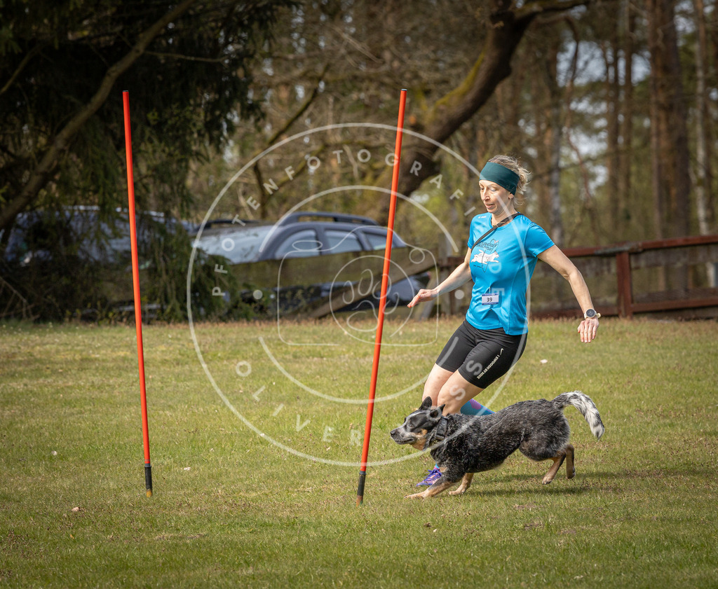 Pfotenfotografie_DV3A7555 | Hundefotografie, Tierfotograf, Pfotenfotografie, Fotoshooting Hund, Hunde Portrait, Hundesport, Hundeportraits, Heideshooting, Hunde, Sportfotograf, Hundefotograf, Turnierhundsport, THS,  - Realisiert mit Pictrs.com