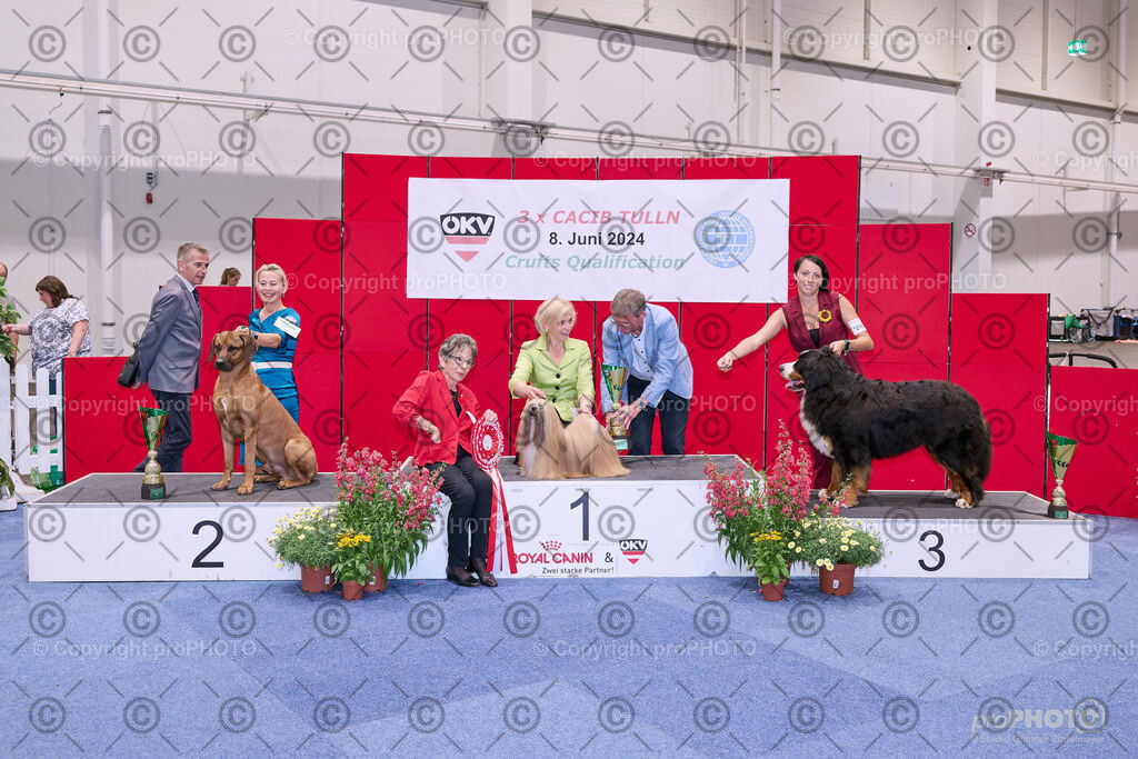 202406_ÖKV-IHA-Tulln24_NZ9_8832 | proPHOTO - Realisiert mit Pictrs.com