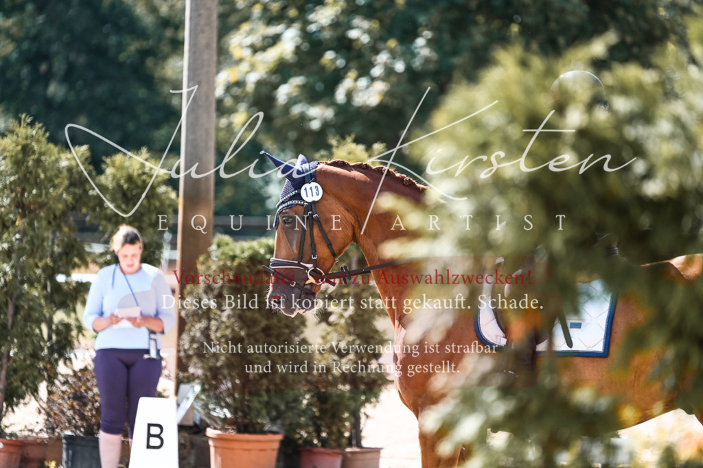 DSC_5084 | Pferde- und Turnierfotografie in Westsachsen. Pferdeportraits, Auftragszeichnungen und intuitive Kunst.
