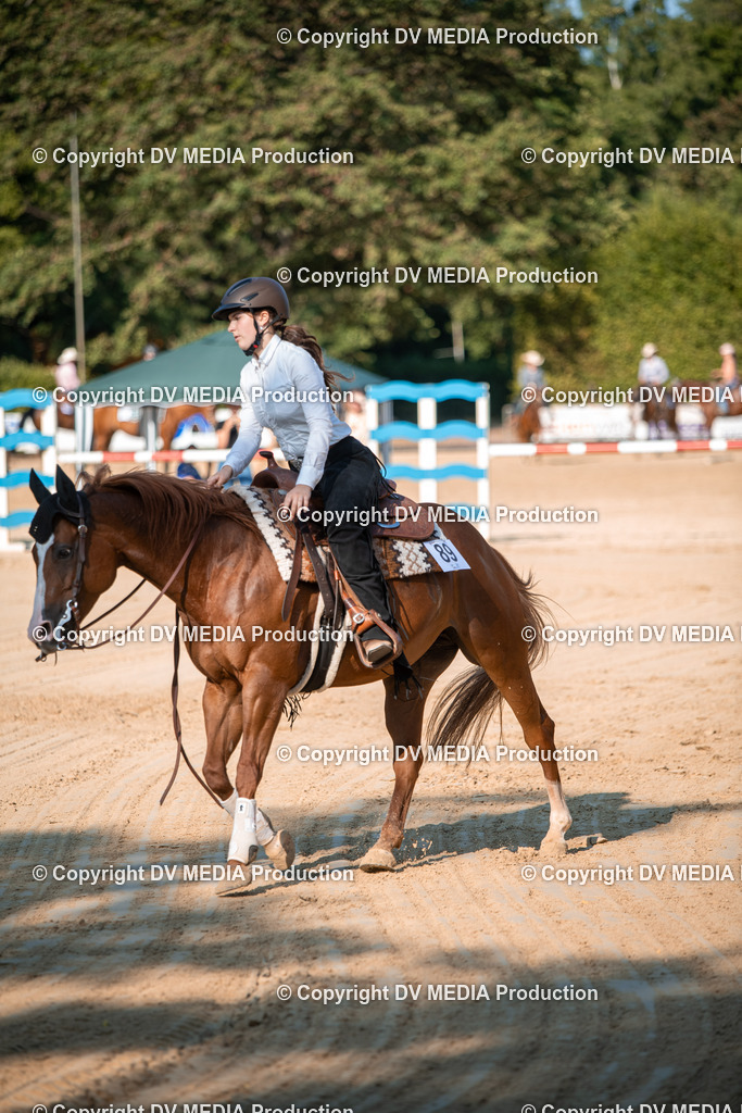 ZS2_8840 | dv-media-shop - Realisiert mit Pictrs.com