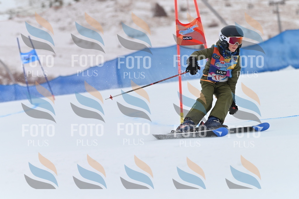 BGV_0799 | holidayphoto