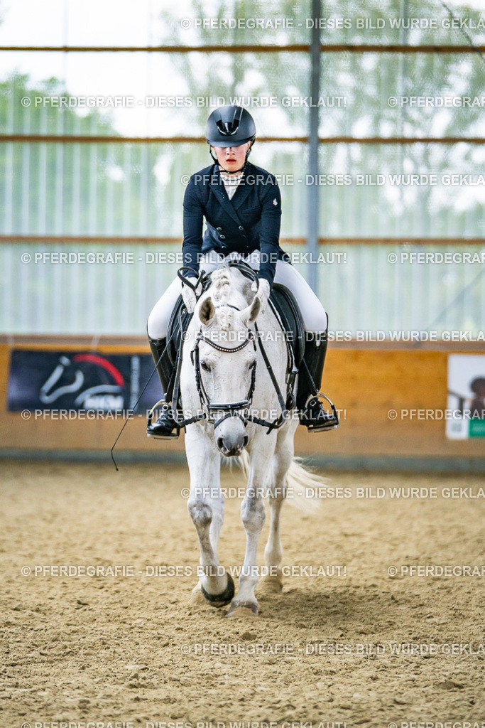 DSC04221 | Pferdegrafie