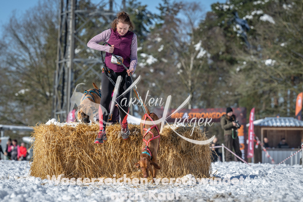 1134_ZZ90247-3 | kk-dogfotos