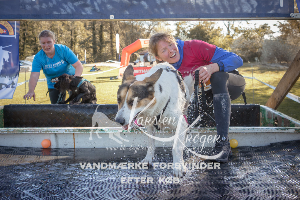 1207_ZZ94704 | kk-dogfotos