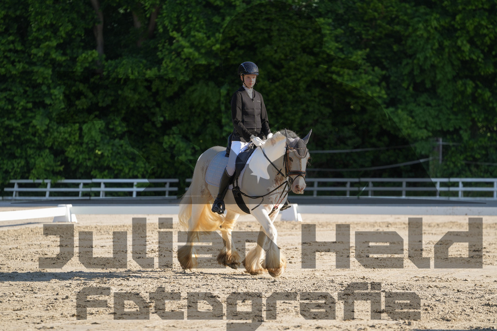 DSC02734 | Julian Held Fotografie - Realisiert mit Pictrs.com