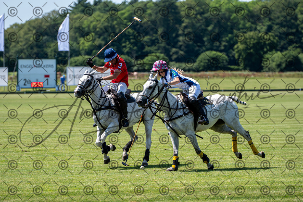 POL_3196 | andre_photographic