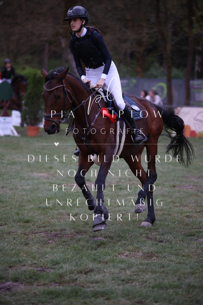 IMGT9638 | pl-fotografie