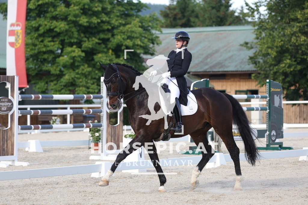 0P6A3752 | Willkommen bei Brunnmayr - Design & Fotografie – Ihrem Spezialisten für Reitturniere und Pferdeveranstaltungen in Oberösterreich, Salzburg und Bayern! Seit über 17 Jahren sind wir leidenschaftlich dabei.