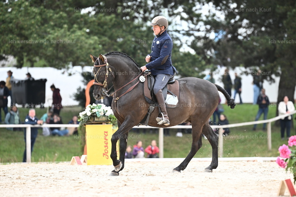 PI26_ST_Sara_Landvogt226_3090.JPG | working equitationturnier fotograf videograf stoibphotography marixx film working equitation deutschland reitsport turnierfotografie eventfotografie equestrian events