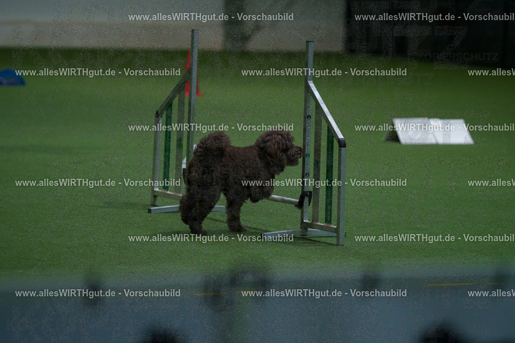 7R503519 | Professionelle Tierfotografie in Mönchengladbach von Daniel Wirth (allesWIRTHgut). Liebevolle & natürliche Bilder von Hunden & Katzen für unvergessliche Erinnerungen.