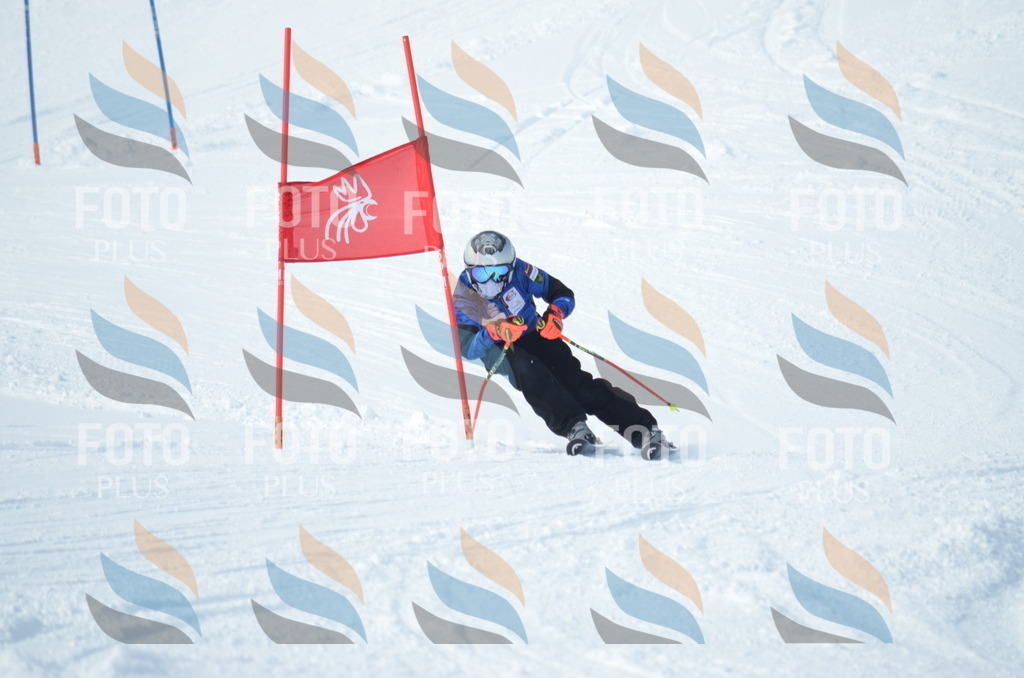 D8885 | holidayphoto