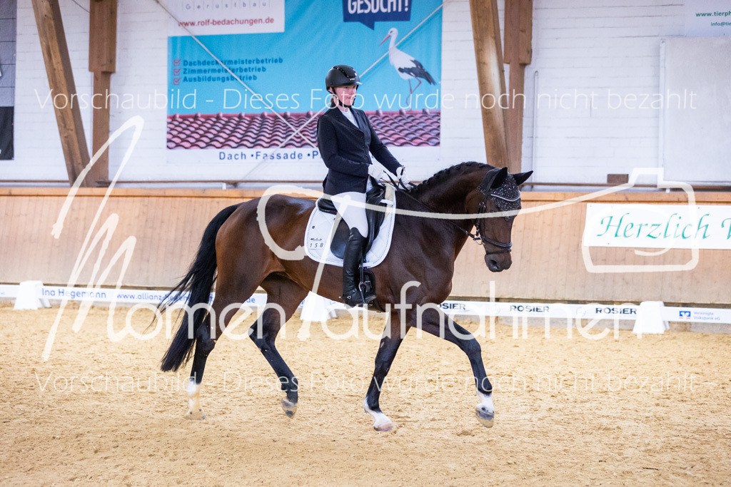 Sth-A-Dre-2St-178 | MomenTaufnahmen Pferdesportfotos