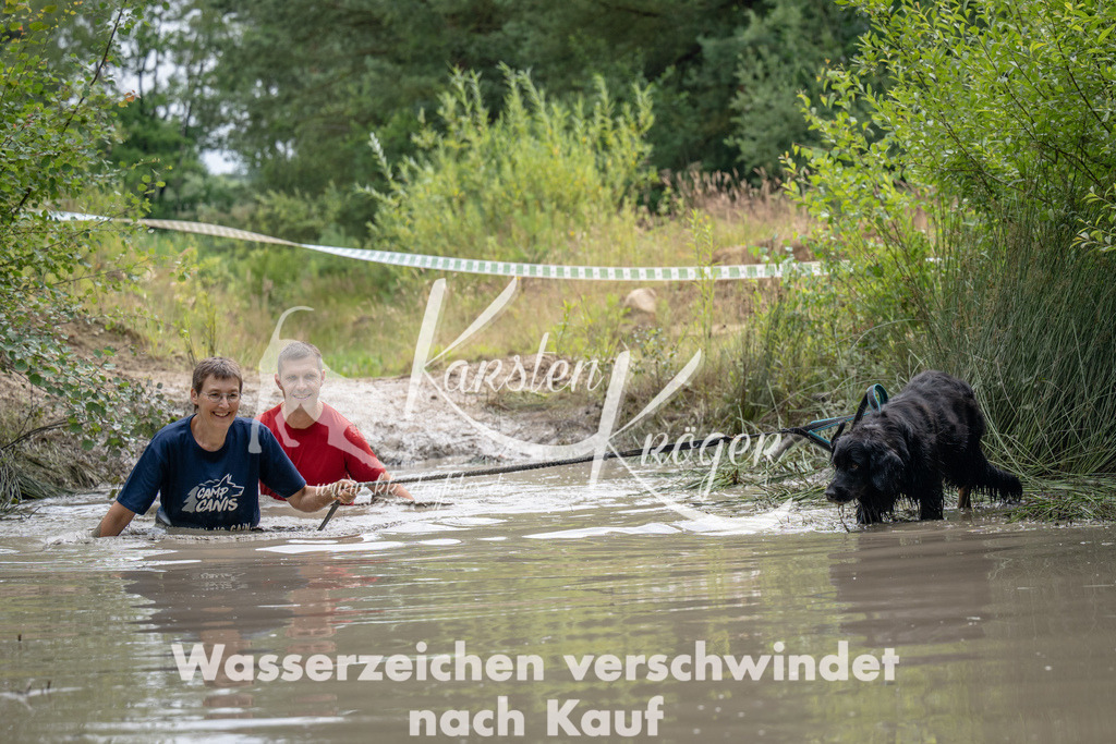 1456_ZZ94386 | kk-dogfotos