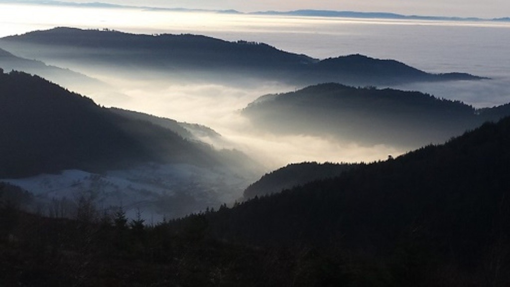 Black_Forest_View_10 | klausulrichmoeller