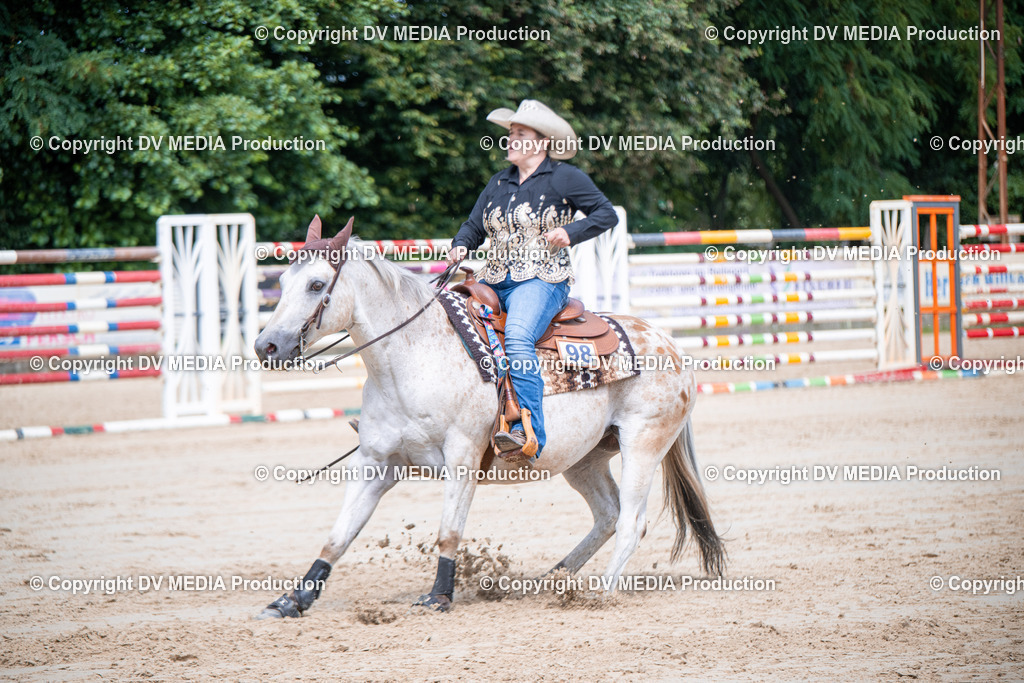 ZS3_5382 | dv-media-shop - Realisiert mit Pictrs.com