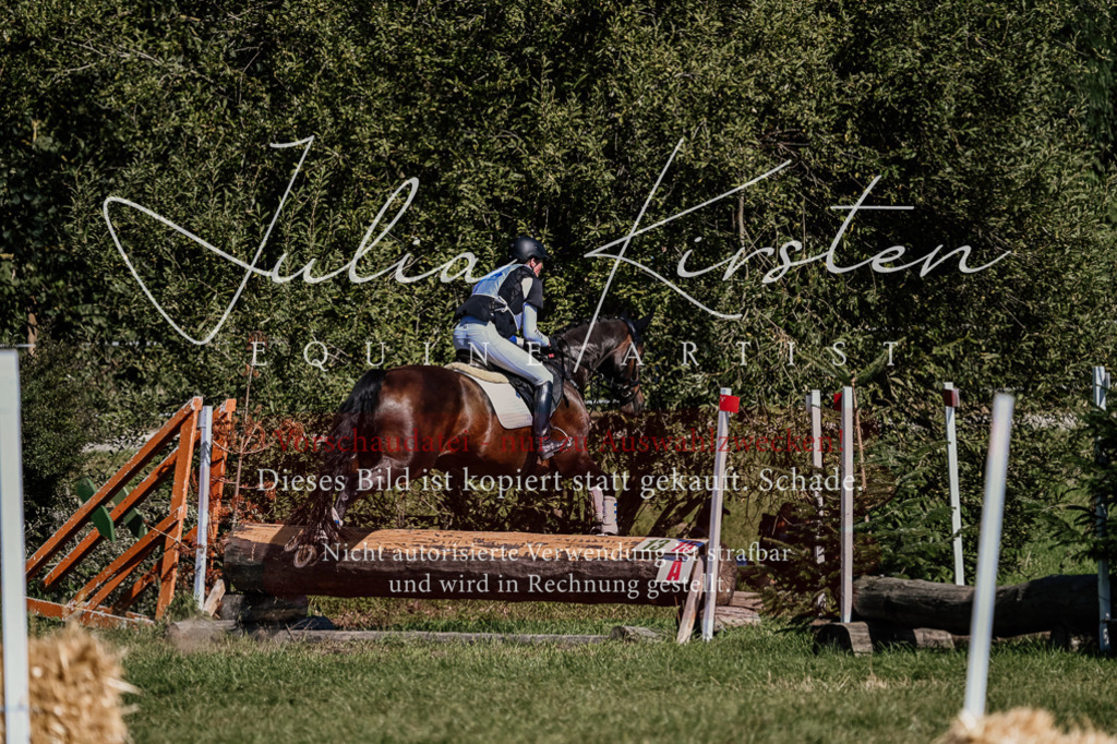 DSC_1464 | Pferde- und Turnierfotografie in Westsachsen. Pferdeportraits, Auftragszeichnungen und intuitive Kunst.