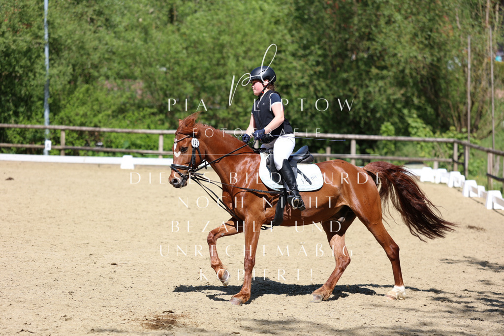 IMGS3323 | pl-fotografie