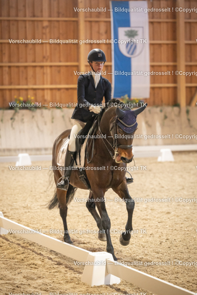 _D5A3660 | Emotionale Pferde- & People-Fotografie rund um Heidelberg, Leimen & Umgebung. Natürliche Fotos von Pferd, Mensch & Familie. Jetzt Termin sichern!