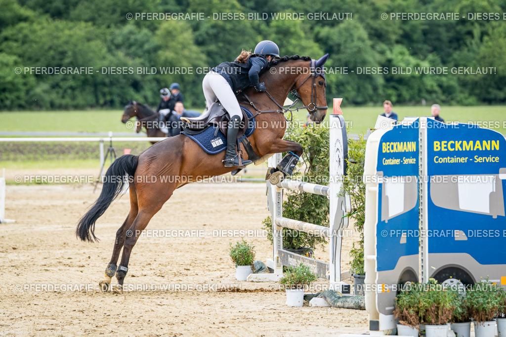 DSC05491 | Pferdegrafie