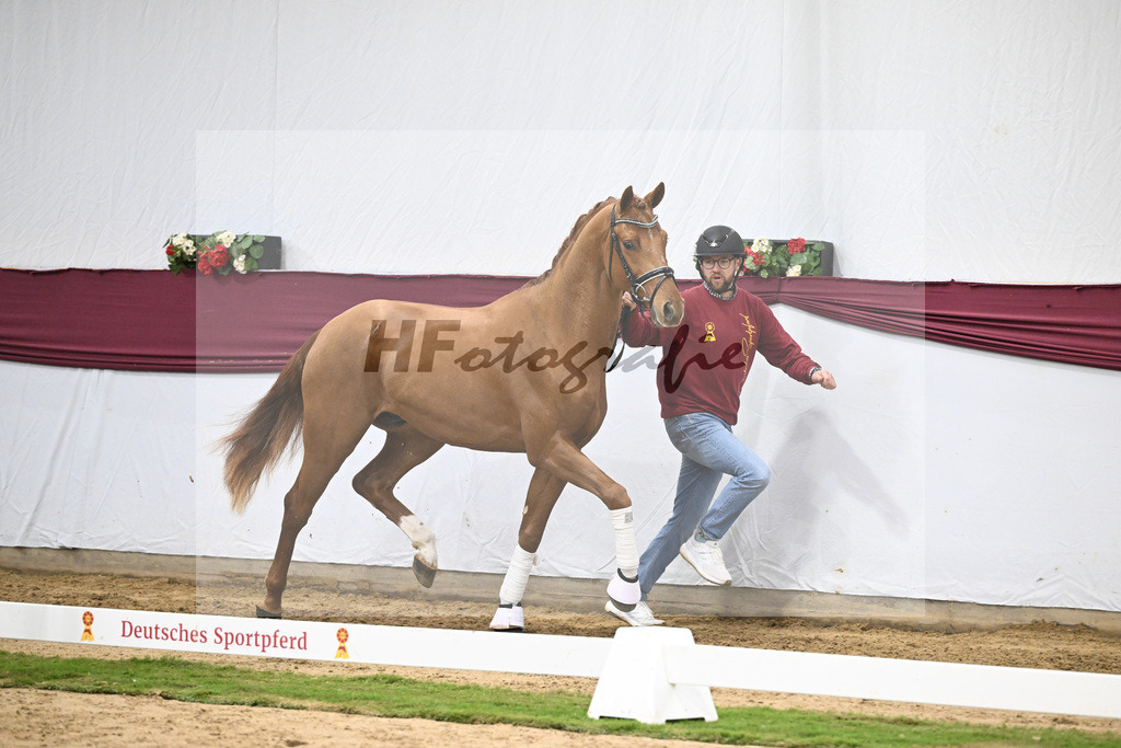 Kat-Nr. 135 Value x For Romance I_Drews Reutalmuehle eGbR_47254582 | hf-fotografie - Realisiert mit Pictrs.com