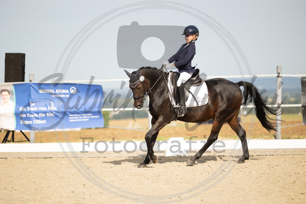 994A1405 | sabrinanicolaifotografie - Realisiert mit Pictrs.com