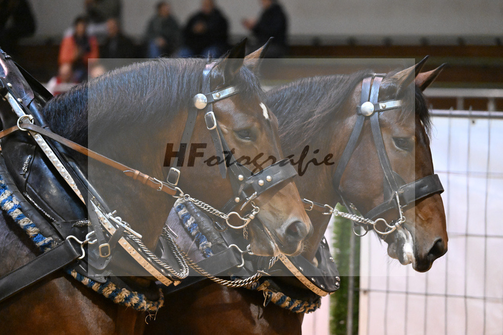 Schauprogramm_54222557 | hf-fotografie - Realisiert mit Pictrs.com