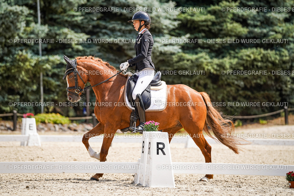 DSC00763 | Pferdegrafie