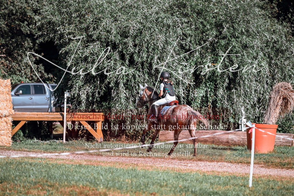 DSC_0702 | Pferde- und Turnierfotografie in Westsachsen. Pferdeportraits, Auftragszeichnungen und intuitive Kunst.